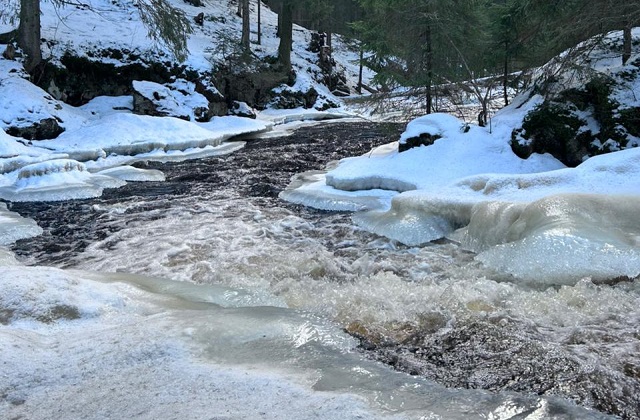 Тур на снегоходах в Карелии